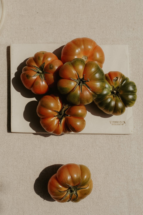 tagliere / piatto rettangolare